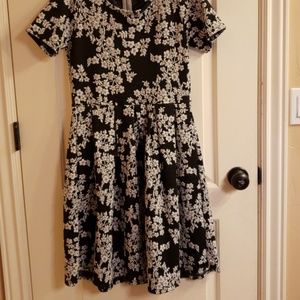 Lularoe Amelia